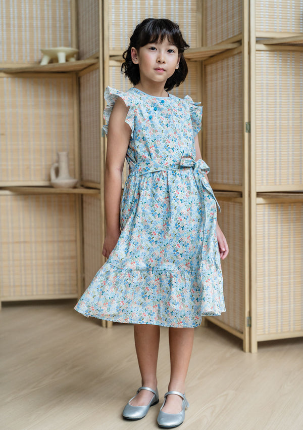 Amelie Periwinkle Dress