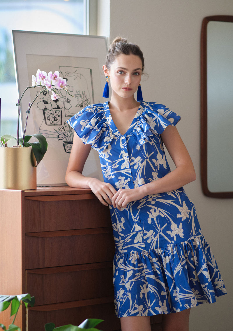 Areli Primavera Dress
